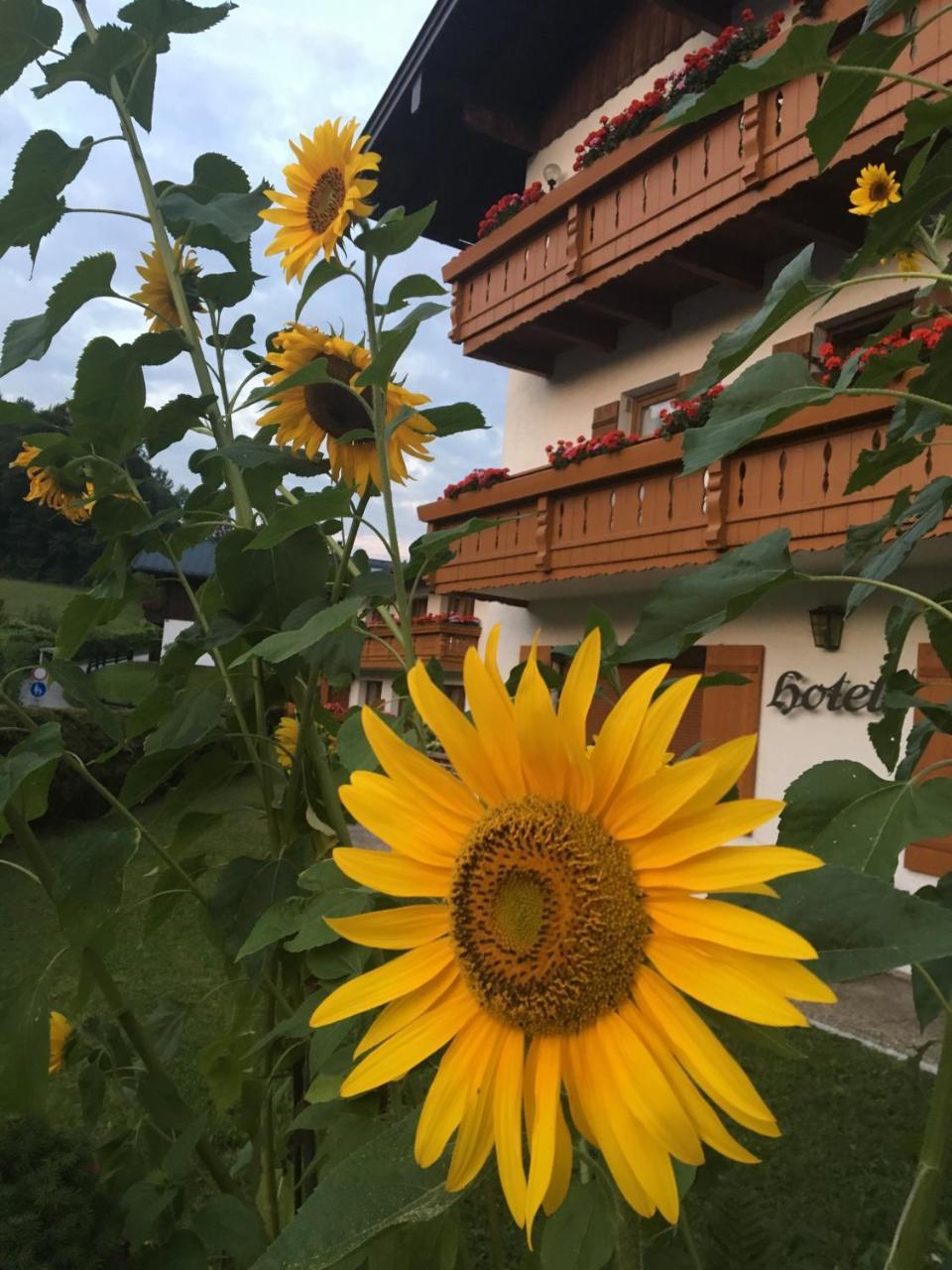 Alpenhotel Weiherbach Berchtesgaden Hallenbad Und Sauna Exterior foto